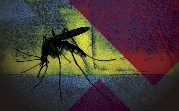 Zika e aborto: a história está se repetindo?