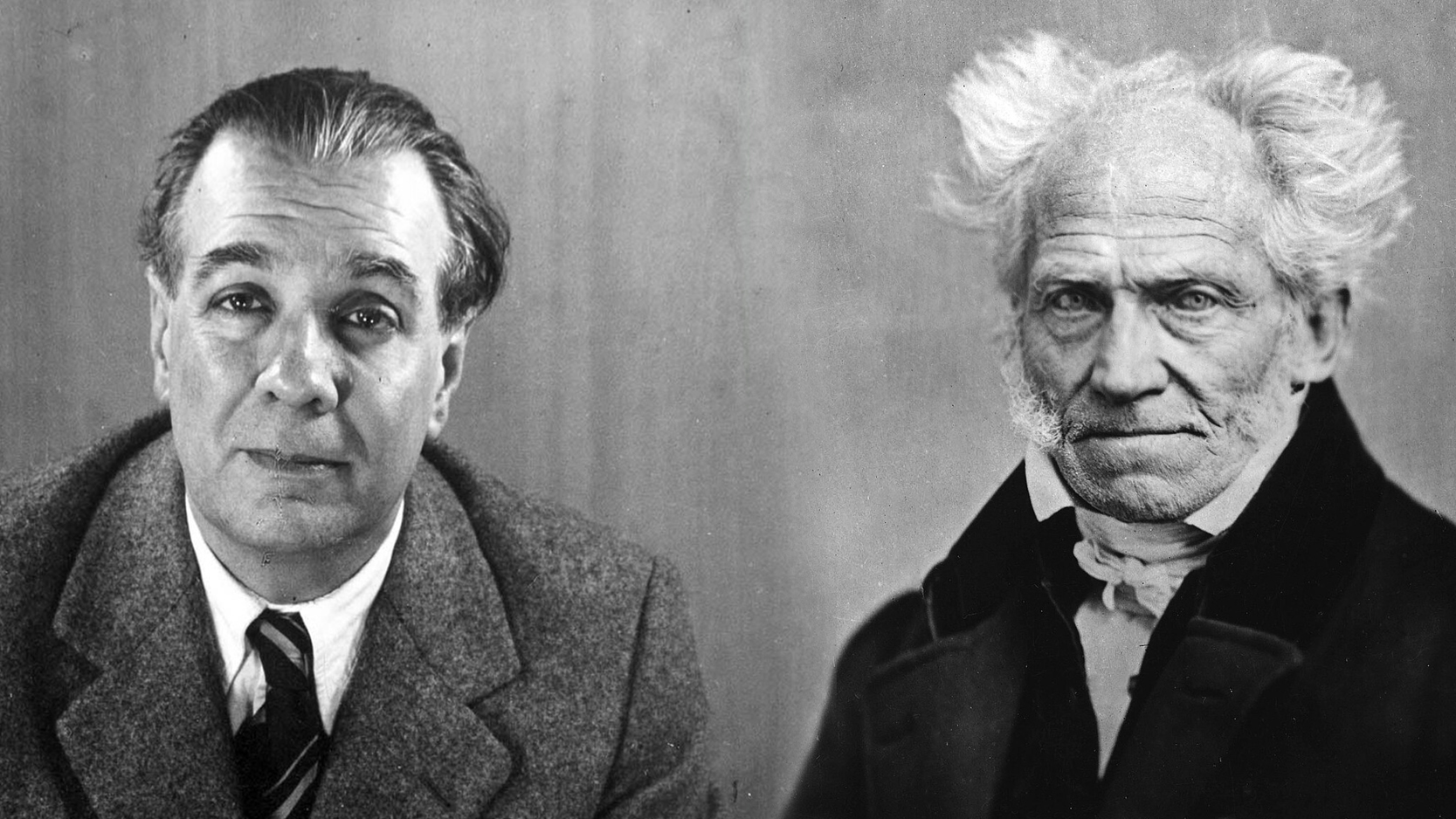 Schopenhauer, Borges e Guimarães: Diálogos interculturais