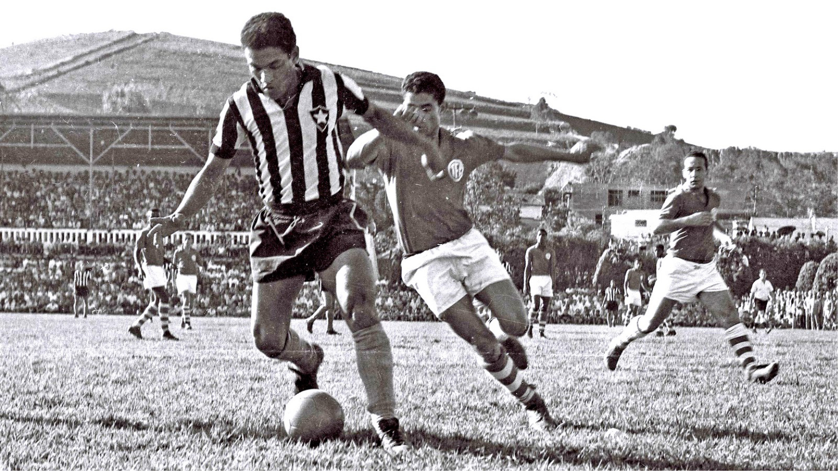 Botafogo e a terra prometida